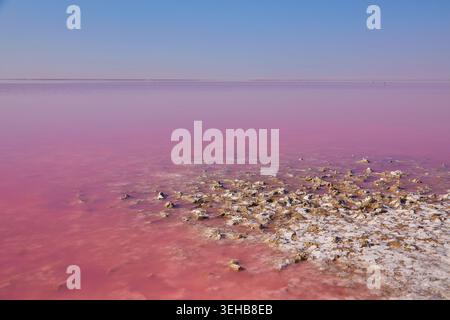 Nahaufnahme von Salzkristallen und dem Rand eines rosa Salzsees, wodurch eine natürliche strukturierte Oberfläche entsteht. Stockfoto