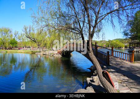 Traditioneller Holzsteg über einen malerischen See mit Weiden im Chengde Mountain Resort, Hebei, China Stockfoto