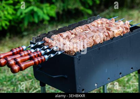 Roh marinierte Schweinespieße auf Metallspießen über einem Holzkohlegrill im Freien, die traditionelle Grillspezialitäten in einem grünen Sommergarten in der Natur zubereiten Stockfoto
