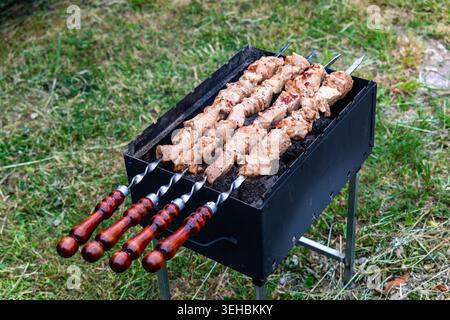 Saftige Schweinespieße, die auf heißem Holzkohlegrill im Freien grillen, traditionelle Picknickgerichte auf einem Metallgrill zubereitet Stockfoto