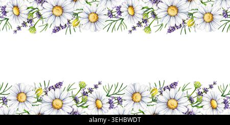 Kamille mit Lavendelblumen nahtlose Grenze Dekor Element Aquarellillustration auf weiß. Handgezeichnetes botanisches Arrangement für die Hochzeit Stockfoto