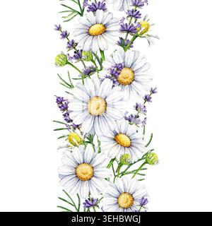 Lavendel- und Kamillenblüten nahtlose Grenze Dekor Element Aquarellillustration. Handgemaltes botanisches Clipart für Hochzeitseinladungen Stockfoto