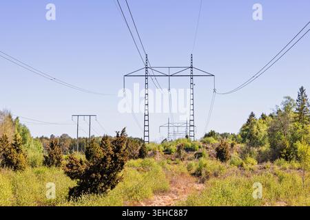 Große Hochspannungsleitung mit Türmen in einer Buschlandschaft Stockfoto