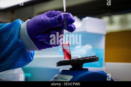 Megan Dunkle, forensische Toxikologie Methodenentwicklung analytischer Toxikologe 2, fügt tropfenweise eine organische Chemikalie hinzu, um Blut p auszufällern Stockfoto
