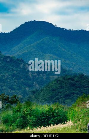 Überlagerte Gipfel eines dichten, grünen tropischen Waldes, der sich in einen weichen, blauen, bewölkten Himmel in Südostasien ausdehnt Stockfoto