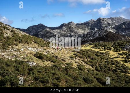 Wanderer im Nationalpark Picos de Europa, Asturien, Spanien Stockfoto