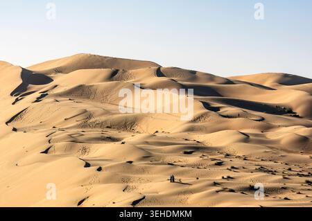 Impressionen der Liwa-Wüste, der größten kontinuierlichen Sandwüste der Welt, im Emirat Abu Dhabi Stockfoto