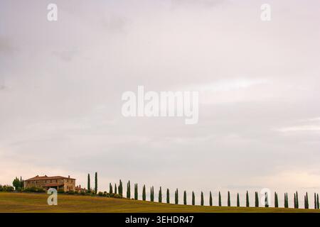 Cypress Avenue in der Nähe eines Bauernhauses in San Quirico d'Orcia, Toskana, Italien Stockfoto
