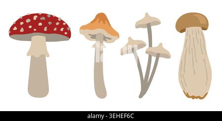 Handgezeichnete Herbstpilze, Pilze, Fliegenpilze, Fliegenpilze für Herbstmotive oder Verpackungen Stock Vektor