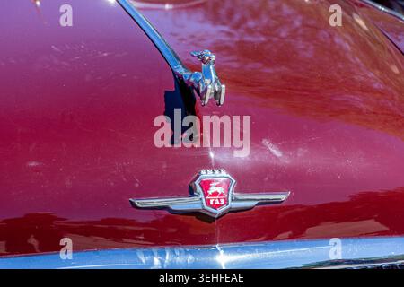 Samara, Russland - 27. Mai 2018: Die Figur eines Rangierhirsches ist das Maskottchen und das Logo des Oldtimer Volga GAZ-21 auf der Motorhaube Stockfoto