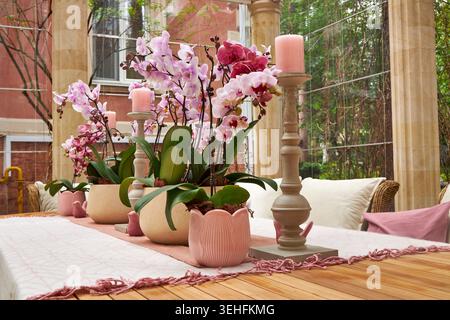 Eleganter Orchideentisch im luxuriösen Glaskonservatorium Stockfoto