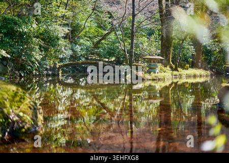 Eine ruhige japanische Gartenszene mit einem ruhigen Teich, dessen spiegelnde Oberfläche die umliegenden Bäume und üppige Grünpflanzen widerspiegelt. Ein traditioneller Torbogen Stockfoto