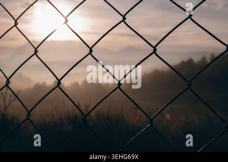 Landschaft mit einem Wald mit Bäumen und der Sonne über ihnen durch einen Maschenzaun Stockfoto