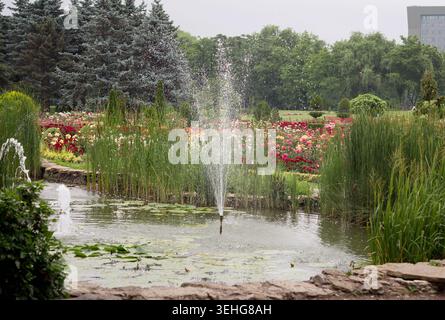 Eine ruhige Gartenszene mit einem Teich mit einem Brunnen, umgeben von üppigem Grün und bunten Blumen. Die Atmosphäre ist ruhig und einladend Stockfoto
