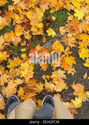 Die Füße einer Frau, die auf dem Boden steht, bedeckt mit gelben, orangen und goldenen Herbstblättern, die von den Bäumen gefallen sind. Herbststimmung, menschliche und herbstliche Natur Stockfoto