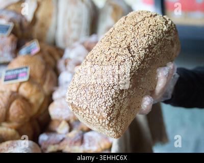 Nahaufnahme einer Hand eines Arbeiters mit Handschuhen, die einen frischen, handwerklich hergestellten Vollkornbrot mit Sesamsamen in einer Bäckerei hält. Stockfoto