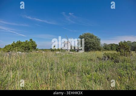 Traditionelle Holzwindmühle auf einem grasbewachsenen Feld, Ohessaare Windmühle auf der Insel Saaremaa bei sonnigem Sommerwetter, Estland, Europa. Stockfoto