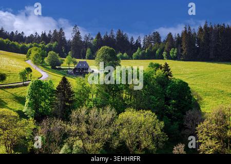 Verlassenes Bauernhaus bei Titisee im Schwarzwald, Baden-Württemberg Stockfoto