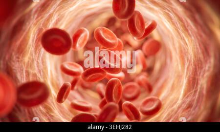 Dynamisches, tiefes makroskopisches Konzept für die menschliche Anatomie mit leuchtenden roten Blutkörperchen, die sich während der Zeit schnell durch eine leuchtende, transparente Tunnelstruktur bewegen Stockfoto
