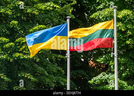 Ukrainische und litauische Fahnen, die am Sommertag auf dem Fahnenmast winken Stockfoto