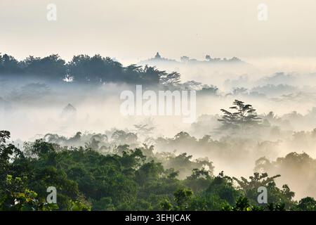 Blick auf den nebeligen tropischen Wald mit der Silhouette des Borobudur Tempels in der Entfernung von Bukit Barede Borobudur, Magelang Regency, Zentral-Java, Ind Stockfoto