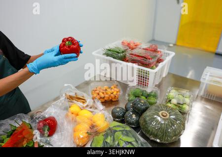 Person mit blauem Handschuh, die roten Paprika hält, sortiert frische Gemüsegerichte auf Metalltisch in der gewerblichen Küche und fühlt sich sorgfältig kontrolliert Stockfoto