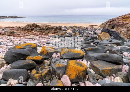 Große dunkle Kieselsteine, bedeckt mit leuchtenden orangefarbenen Flechten, stehen im Kontrast zu den rosa Felsen der bretonischen Küste. Im Hintergrund, der goldene Strand und ruhige oc Stockfoto