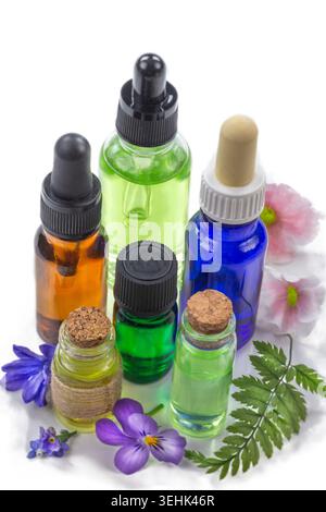 Sechs Glasflaschen mit farbigen Flüssigkeiten, begleitet von verschiedenen Blumen und einem grünen Blatt auf weißem Hintergrund. Stockfoto
