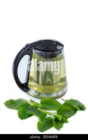 Ein Glasbecher mit schwarzem Griff und Deckel enthält eine gelbe Flüssigkeit und ein Metallsieb. Grüne Blätter liegen auf der weißen Fläche davor. Stockfoto