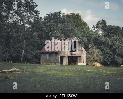 Alte rustikale Holzscheune mit einem verwitterten Metalldach auf einem grasgrünen Weidefeld, umgeben von üppigen Sommerbäumen Stockfoto