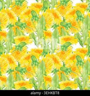 Kleines nahtloses Aquarellmuster mit gelben Löwenzahnblüten, grünen Knospen und gezackten Blättern auf weißem Hintergrund. Handgemalt lebendig Stockfoto
