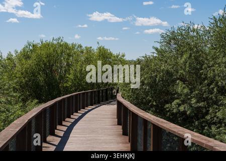 Hölzerne Promenade schlängelt sich durch üppige grüne Küstensträucher in Parnu Estland unter einem blauen Himmel mit Wolken an einem sonnigen Tag. Stockfoto