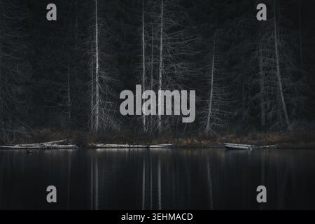 Ein Boot auf einem See in einem dunklen Wald mit einigen toten Bäumen im Wasser, Loon Lake, Vancouver Island, dunkle und stimmungsvolle Atmosphäre, reduzierte Farbe Stockfoto