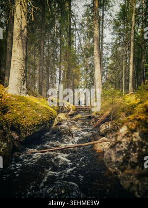 Nuuksio, Finnland 04.05.2024 Eine Person geht über eine kleine Holzbrücke über einen felsigen, fließenden Waldbach, umgeben von moosbedeckten Felsblöcken und ta Stockfoto