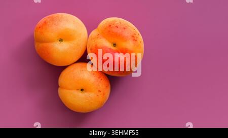 Drei reife Aprikosen auf violettem Hintergrund mit Kopierraum Stockfoto