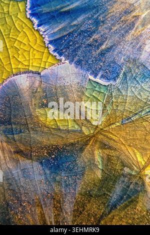 Makrofoto aus Nahaufnahme mit komplexen Mustern, Farben und Texturen auf einer Keramikvase mit atemberaubender kristalliner Oberfläche, digital aufgenommen Stockfoto