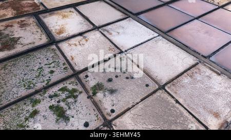 Aus der Vogelperspektive auf die Salzflächen von Janubio, Lanzarote, mit einem einzigartigen geometrischen Muster und natürlichen Farbtönen. Das Kunstfoto hebt die Textur hervor Stockfoto