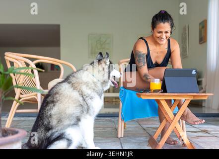 Lächelnde Frau arbeitet auf einem Tablet an einem sonnigen Terrassentisch mit einem Glas Orangensaft, während ihr sibirischer Husky-Hund in der Nähe sitzt und ein entspanntes Su kreiert Stockfoto