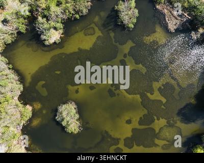 Blick von oben auf einen malerischen Teich mit kleinen Inseln und klarem Wasser Stockfoto