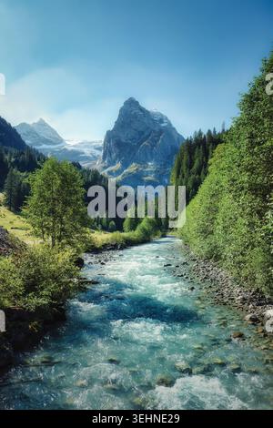 Malerische Landschaft des Rosenlaui Alpenbergs mit Fluss, der durch üppigen grünen Wald unter blauem Himmel in den Berner alpen fließt Stockfoto