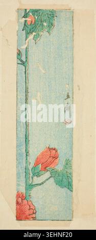 Hülle mit Hibiskus von Utagawa Hiroshige, n.d., mit roten Hibiskusblüten und grünem Laub auf einem blassblauen Grund Stockfoto