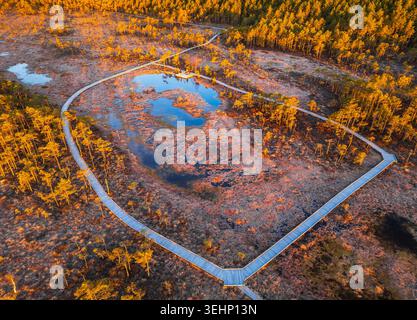 Aus der Vogelperspektive mit Blick auf eine Promenade, die sich durch die Moorlandschaft von Riisa mit reflektierenden Pools während eines Sonnenuntergangs im Herbst in Estland schlängelt. Stockfoto