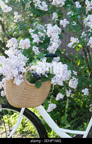 Weißes Fahrrad mit Korbkorb voller frischer Fliederblüten in einem Frühlingsgarten. Sonnenlicht, grünes Gras, florale Stimmung und Natur auf dem Land, lebhaft und lebendig Stockfoto