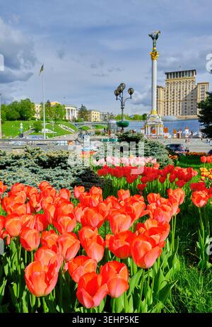 Ein lebhaftes Bett aus roten Tulpen in voller Blüte vor dem Unabhängigkeitsdenkmal und dem Hotel Ukraine auf dem Maidan Nezalezhnosti (Unabhängigkeitsplatz) in Kyi Stockfoto