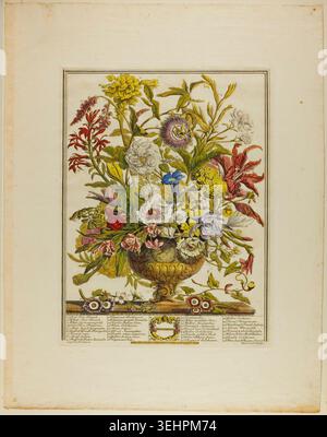 September, aus zwölf Monaten Blumen von Henry Fletcher nach Peter Casteels III., n.d., mit einer ornamentalen Urne voller bunter Blüten, darunter Rosen, Nelken und Passionsblumen Stockfoto