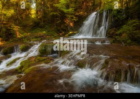 Wasserfall umgeben von Wald bei Vrelo Miljacke in Bosnien und Herzegowina Stockfoto