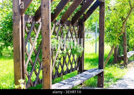 Eine hölzerne Pergola, die in einem üppig grünen Garten unter hellem Sonnenlicht steht. Gartenarchitektur, Hinterhofdekor, Außenstruktur, Landschaftsgestaltung. Stockfoto