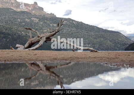 Treibholz spiegelt sich im Mountain Lake in Patagonien Stockfoto