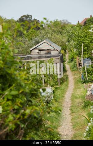 Weg durch ein Grundstück in Nord-London Stockfoto