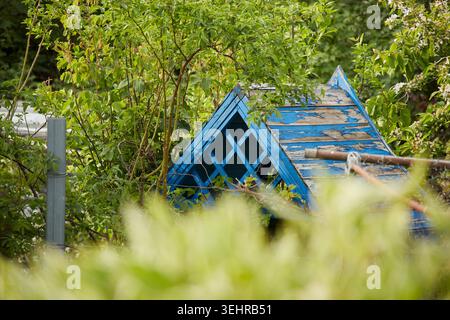 Grüner, Charmanter Schreck, Nord-London Stockfoto